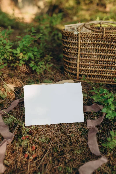 Invitation Greeting Card Mockup Natural Background Forest Paper Mockup Forest — Stok fotoğraf