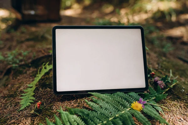 Tablet Mockup Background Nature Forest Workplace Nature Ipad Mockup Blank —  Fotos de Stock