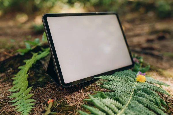 Tablet Mockup Background Nature Forest Workplace Nature Ipad Mockup Blank — Zdjęcie stockowe