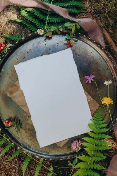 Invitation Greeting Card Mockup Natural Background Forest Paper Mockup Forest — Foto Stock