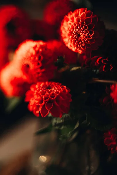 Rote Herbstblumen Auf Dunklem Hintergrund Eleganter Brautstrauß Marsalafarbe — Stockfoto