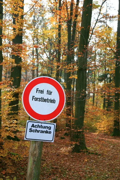 Σήμα Κυκλοφορίας Ένα Φθινόπωρο Χρωματιστό Δάσος — Φωτογραφία Αρχείου