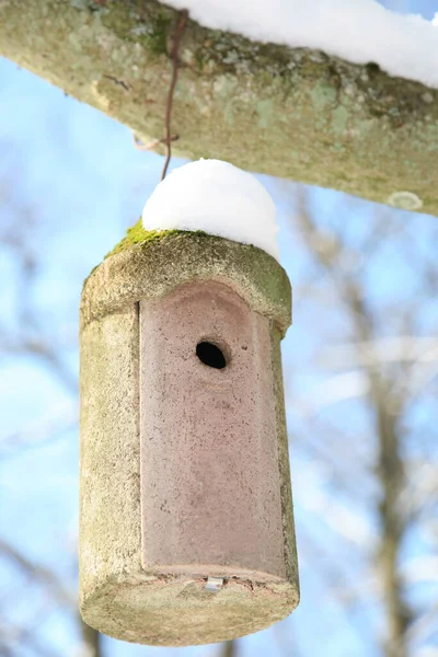 Casa Pássaro Concreto Com Telhado Coberto Neve — Fotografia de Stock