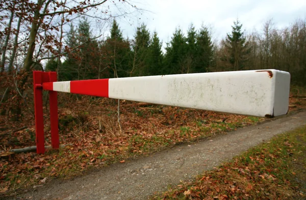 Boslandweg Dichtbij Slagboom — Stockfoto