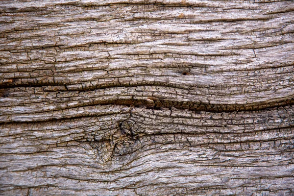Eski Yıpranmış Meşe Ağacı Arkaplan Deseni — Stok fotoğraf