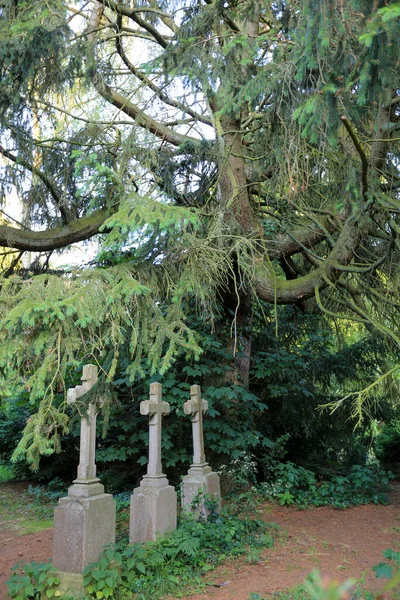 Strašidelný Starý Hřbitov Třemi Kamennými Kříži Lese — Stock fotografie