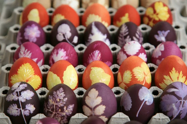 Viele Bunte Ostereier Mit Naturfarben Und Blattsilhouetten Bemalt — Stockfoto