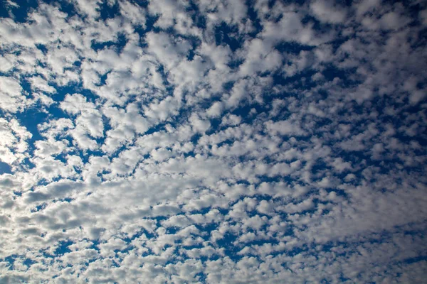 Ciel Bleu Foncé Avec Nombreux Petits Nuages — Photo