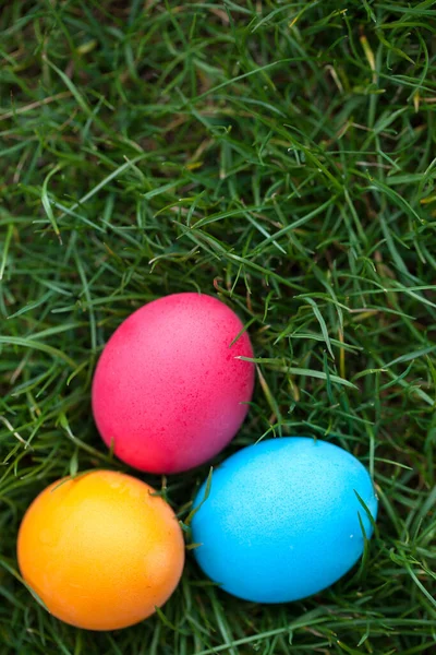 Tres Huevos Pascua Pintados Hierba Imagen De Stock