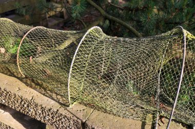 Geleneksel yıpranmış balık tuzağı güneşte kuruyor.