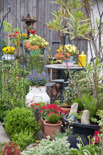 Outdoor backyard flower decoration in summer
