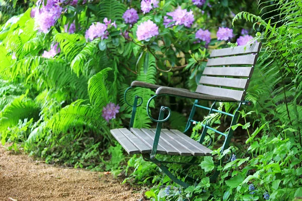 Empty  wooden bench in a park with a beautiful rhododendron plant in the background