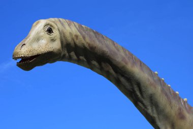Gökyüzüne karşı yapay bir Diplodocus dinozorunun başı.