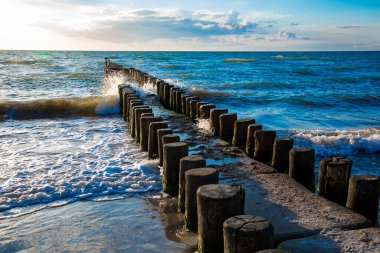 Baltık Denizi 'nin sahilindeki sularda ahşap damızlıklar.