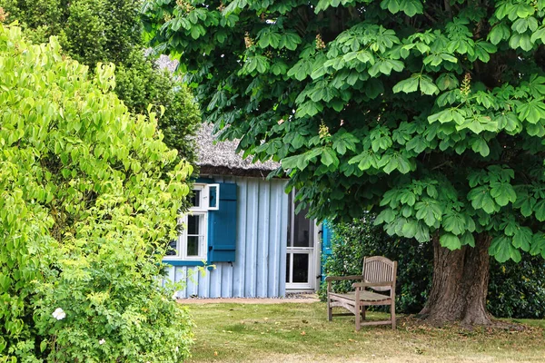 Piękny Letni Ogród Ukrytym Starym Drewnianym Domem Tle — Zdjęcie stockowe