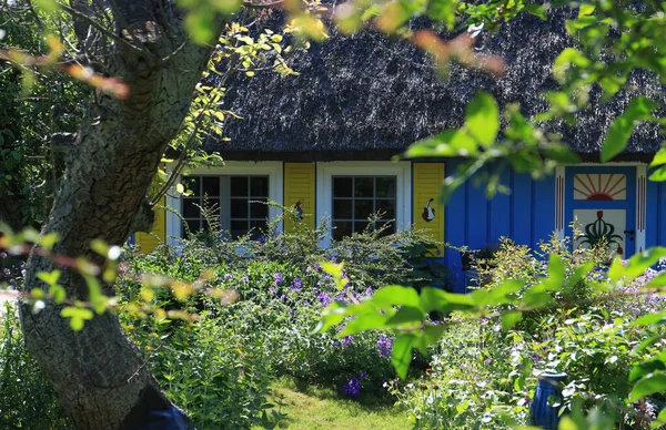 Prachtige Zomertuin Met Een Houten Huis Achtergrond — Stockfoto