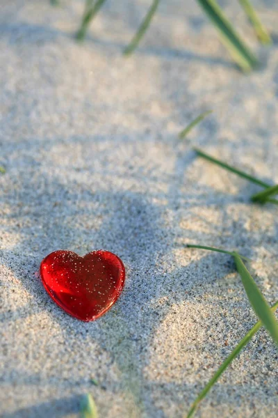 Small Red Shiny Heart Lying Sand Beach — Zdjęcie stockowe