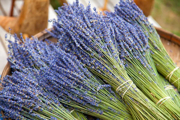 Bunches Fresh Lavender — Stock Photo, Image