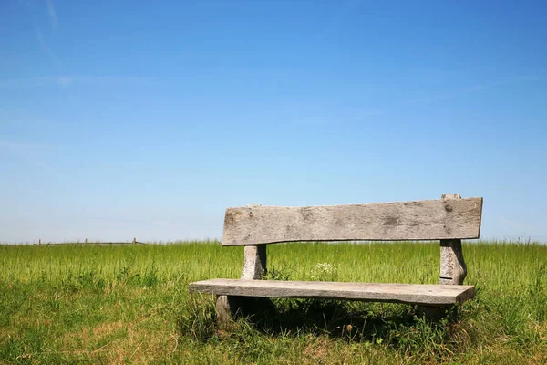 Old Weathered Wooden Bench Field Blue Sky — Stock Fotó