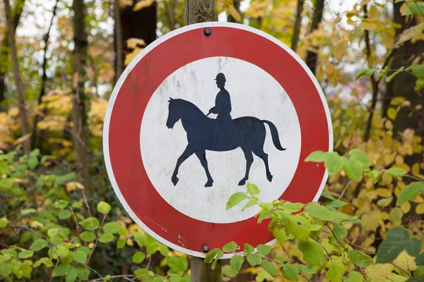 Caballo Caballo Señal Prohibida Bosque — Foto de Stock