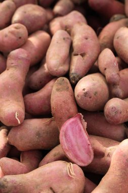 Markette kırmızı otlu patates.