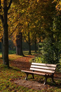Sonbahar ağaçlı park bankında