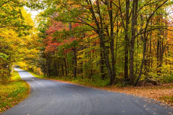 Hermoso Otoño Carretera Vacía Escénica Hojas Otoño —  Fotos de Stock