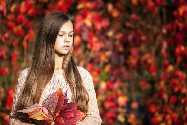 Chica - otoño —  Fotos de Stock