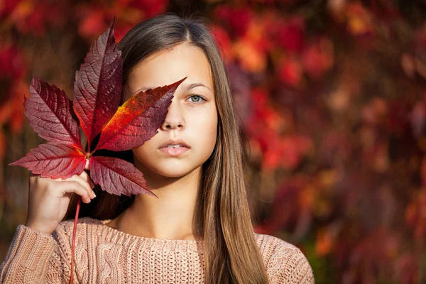 Девушка - осень — стоковое фото