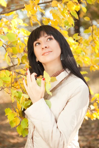 Young pretty woman in the autumn park — Stock Photo, Image