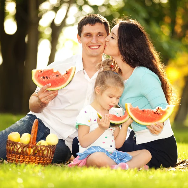 Famiglia felice fare un picnic nel giardino verde — Foto Stock