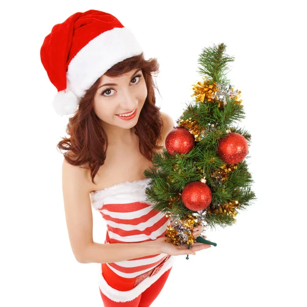Weihnachtsfrau mit Weihnachtsbaum. Weitwinkel — Stockfoto