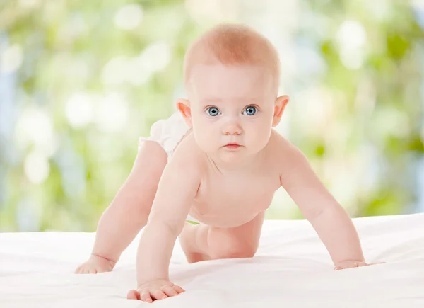 doğa arka planda güzel mavi gözlü sevimli bebek