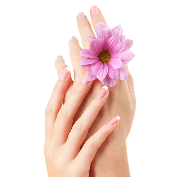 Care for sensuality woman hands — Stock Photo, Image