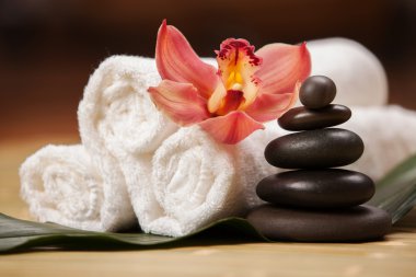 Spa arka plan