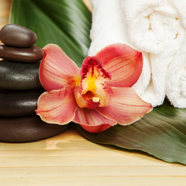 Spa background — Stock Photo, Image