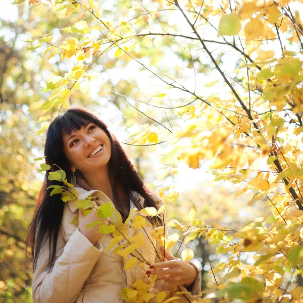 Young pretty woman in the autumn park — Stock Photo, Image