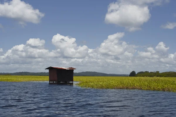 Marais de Kaw — Stock Photo, Image