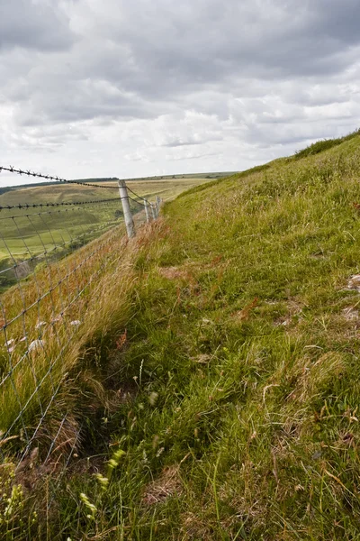 South West Coast Path — Stock Photo, Image