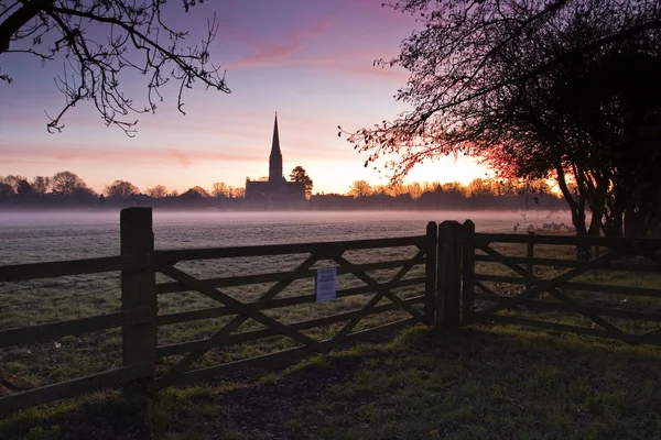 โบสถ์ Salisbury — ภาพถ่ายสต็อก