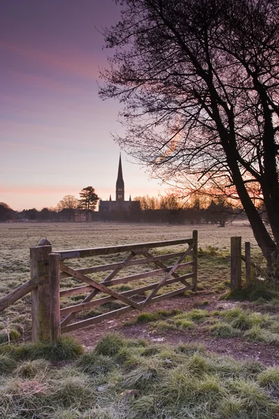 Catedral de Salisbury — Foto de Stock