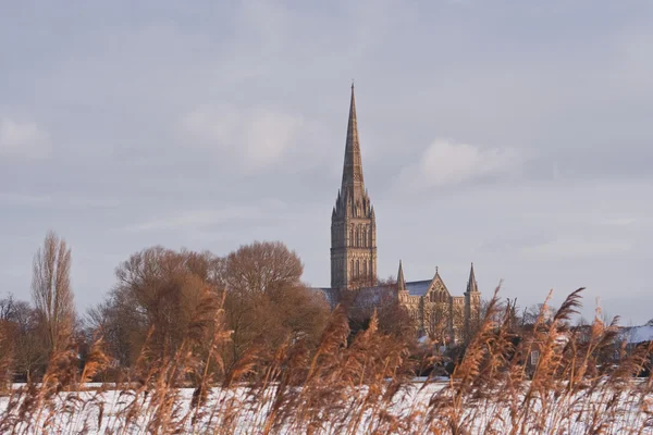 Salisbury cathedral — Stock Photo, Image