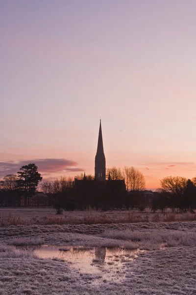 Salisbury Katedrali — Stok fotoğraf