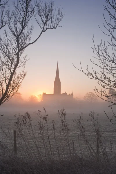 Salisbury cathedral — Stock Photo, Image
