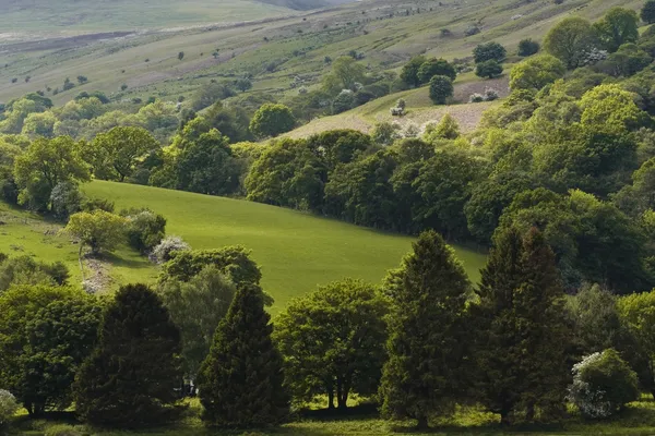 Tal-Y-Bont — Stockfoto