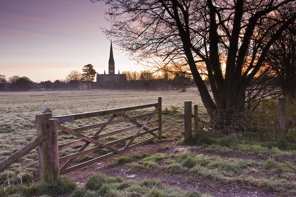 Harnham su meadows — Stok fotoğraf