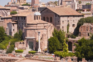 Roma forumu Roma 'da