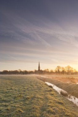 Salisbury Katedrali arasında meadows