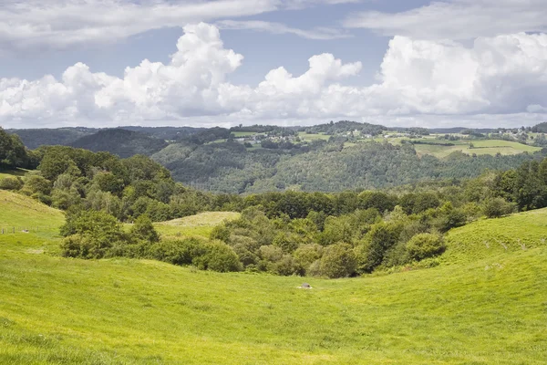 French summer countryside — Stock Photo, Image