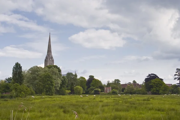 Salisbury-Kathedrale über Wiesen — Stockfoto